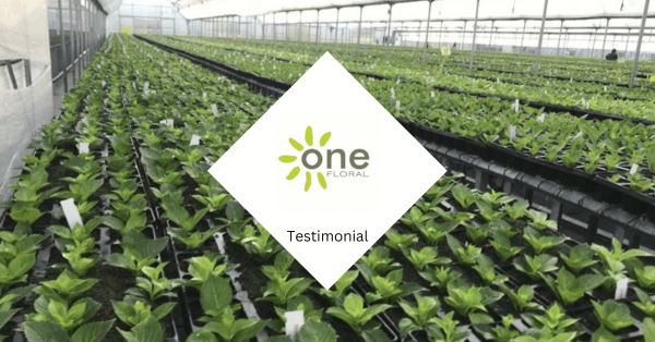 Testimonial – One Floral